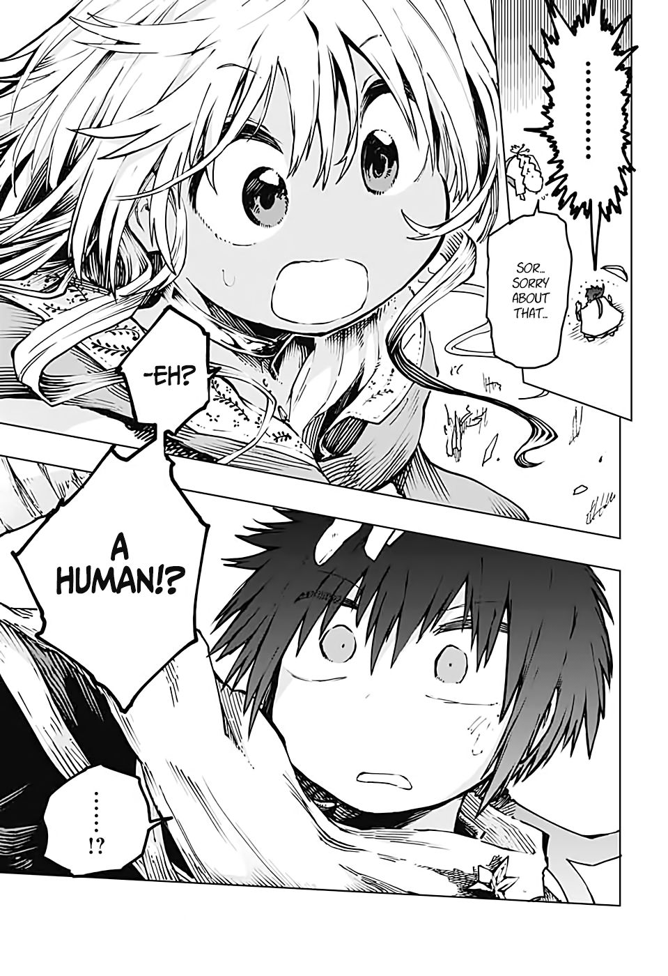 Page 17 of Chapter 2