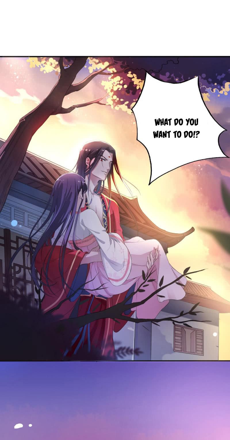 Page 14 of Chapter 11