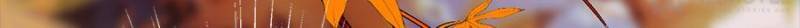 Page 33 of Chapter 18