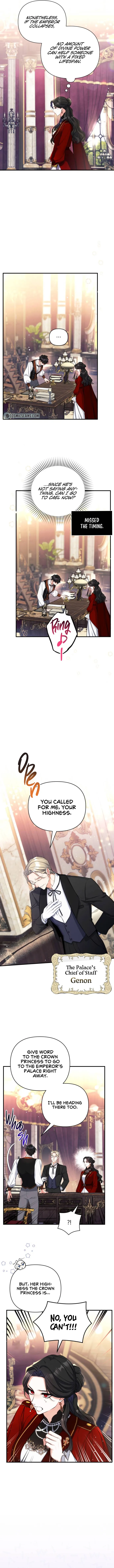 Page 7 of Chapter 26