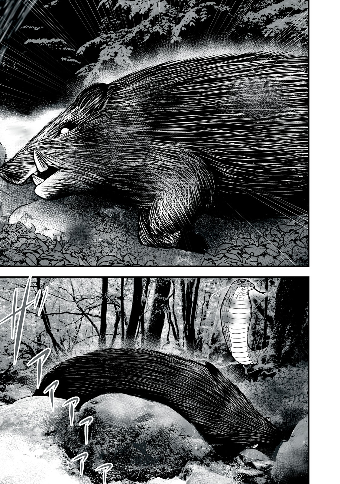 Page 4 of Chapter 12