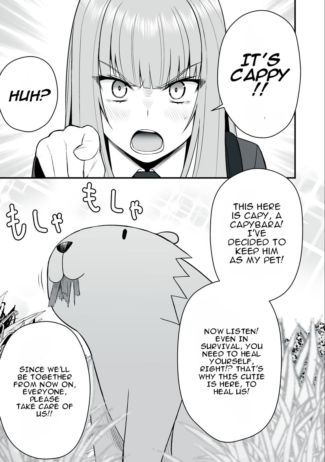 Page 4 of Chapter 17