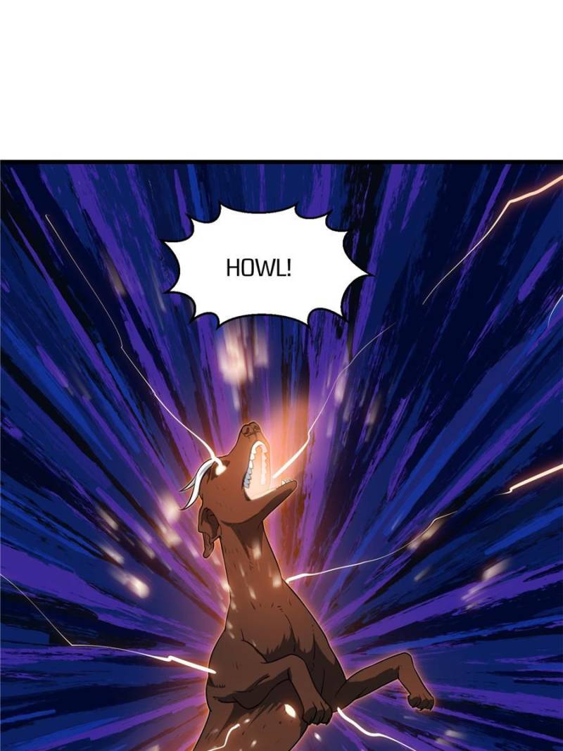 Page 15 of Chapter 315