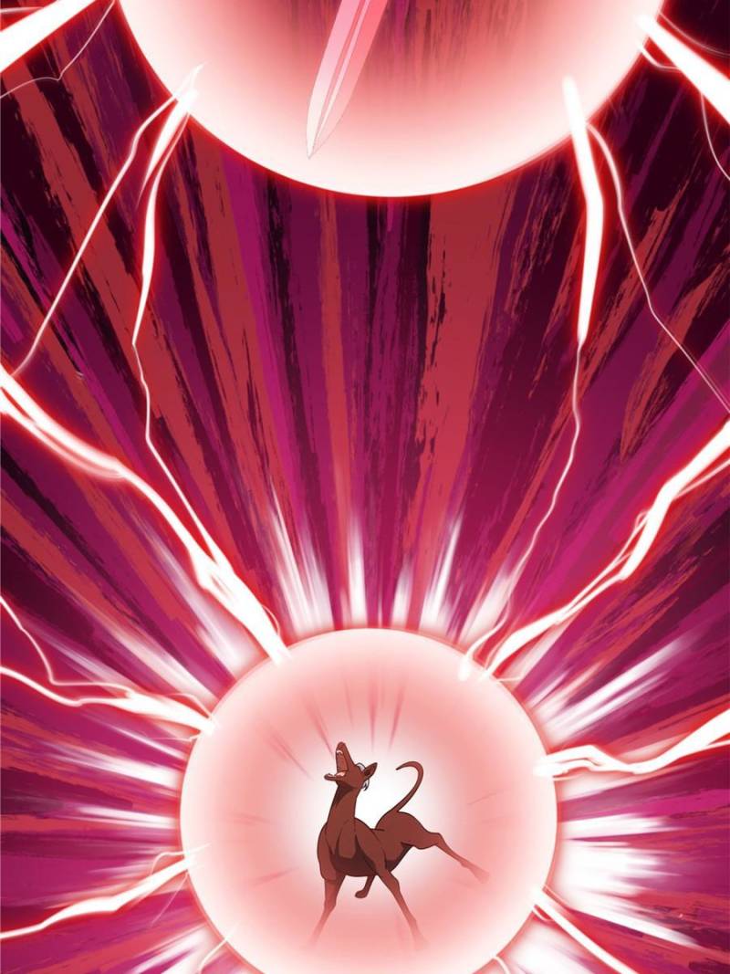 Page 17 of Chapter 315