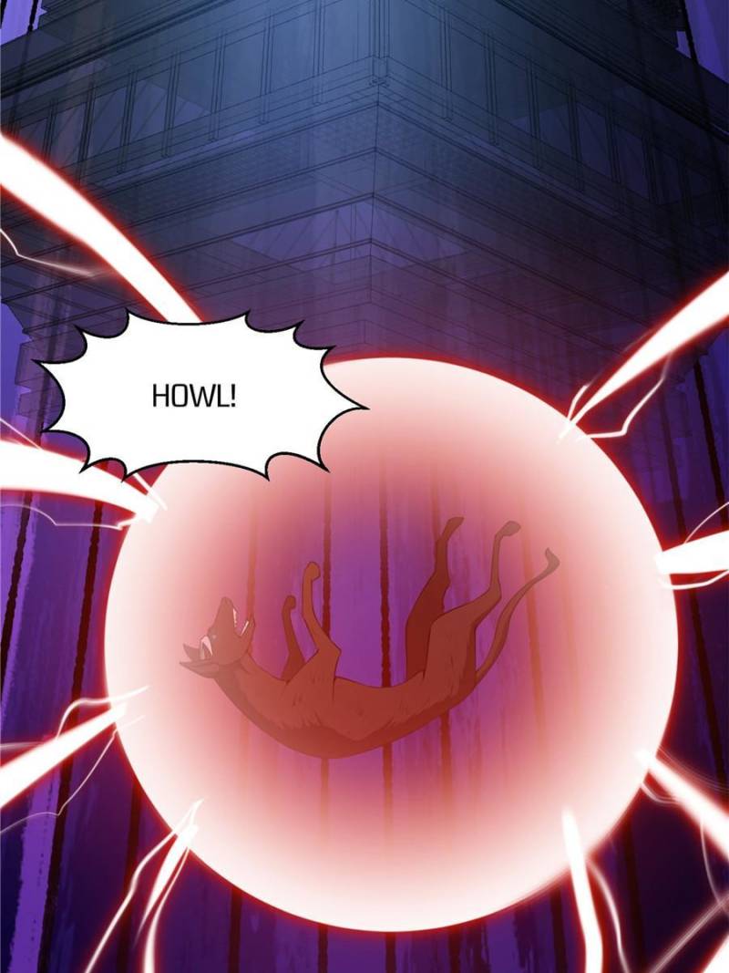 Page 20 of Chapter 315