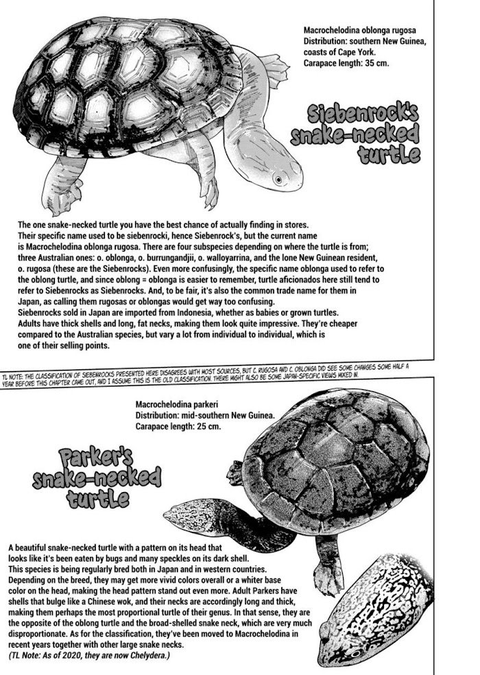 Page 11 of Chapter 102