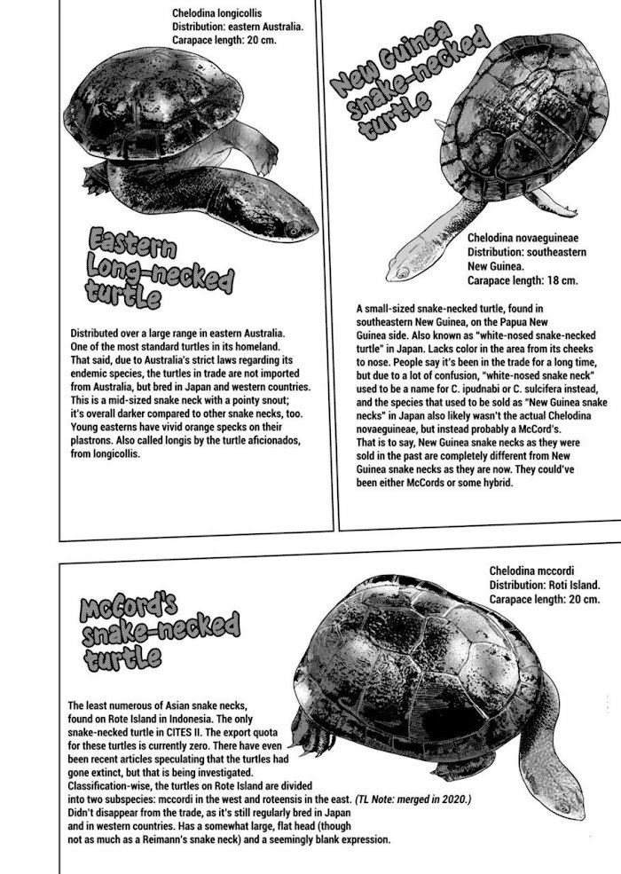 Page 12 of Chapter 102