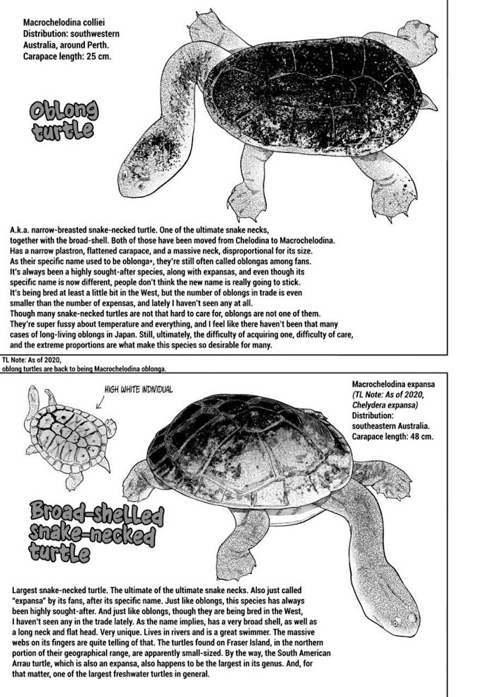 Page 13 of Chapter 102