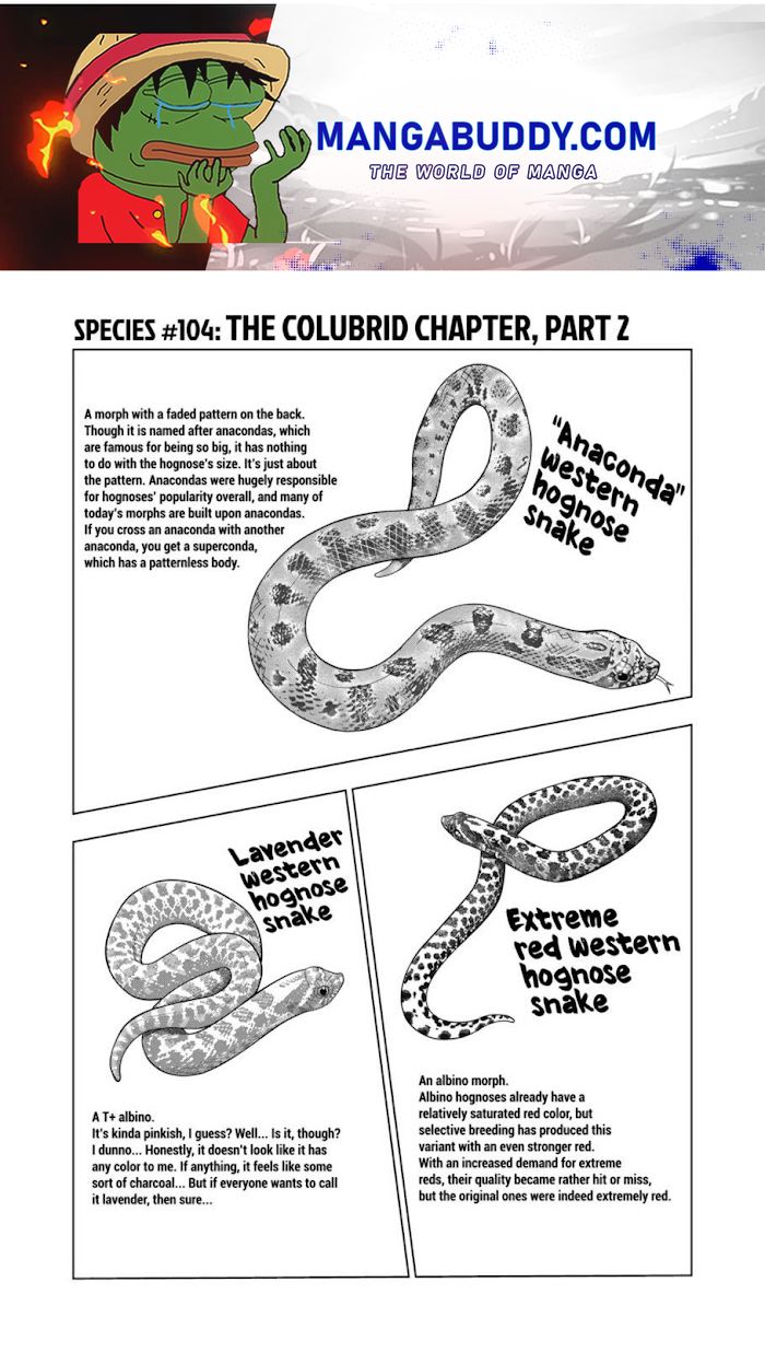 Page 1 of Chapter 104