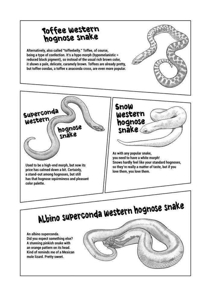 Page 2 of Chapter 104