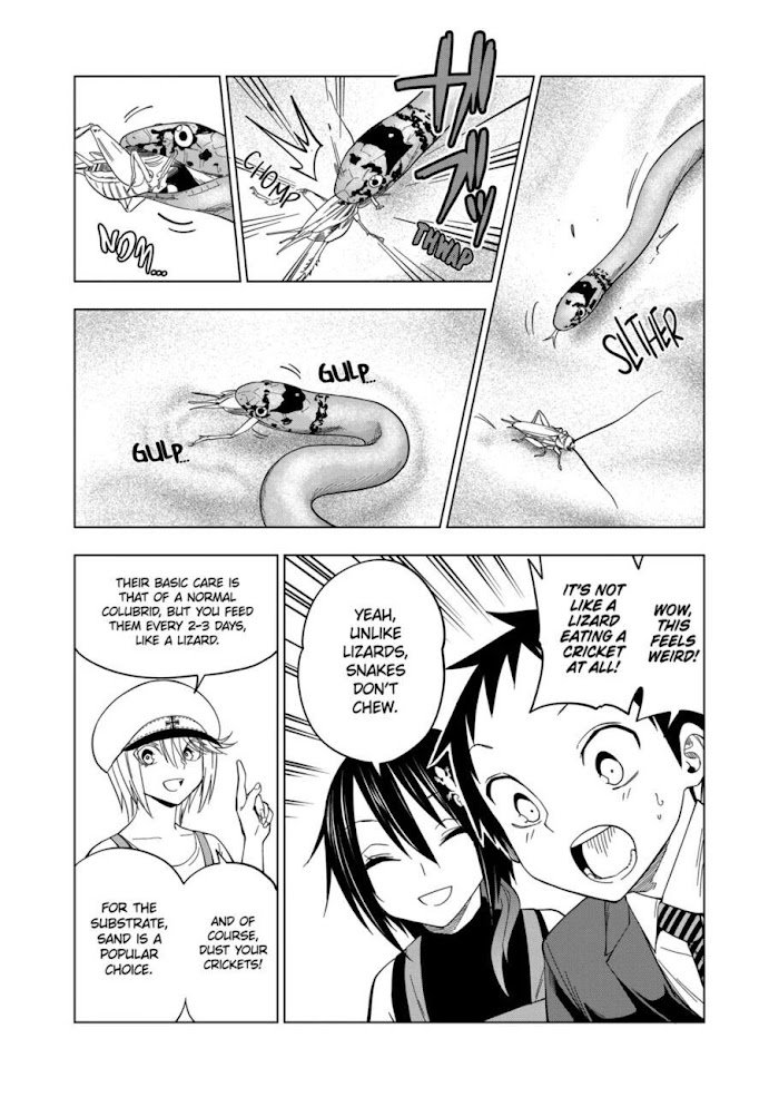 Page 13 of Chapter 104