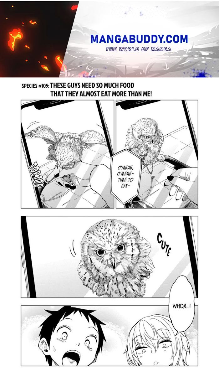 Page 1 of Chapter 105