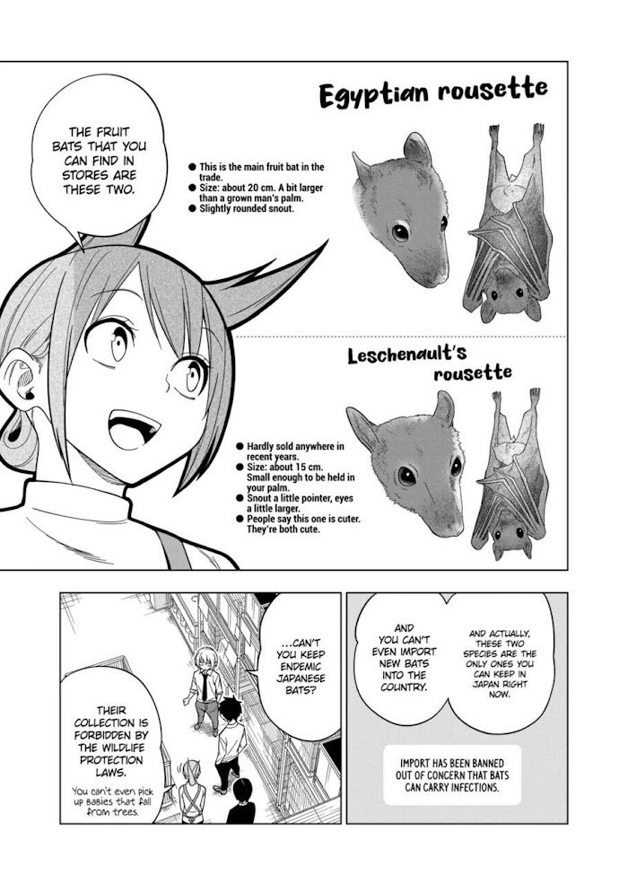 Page 17 of Chapter 105