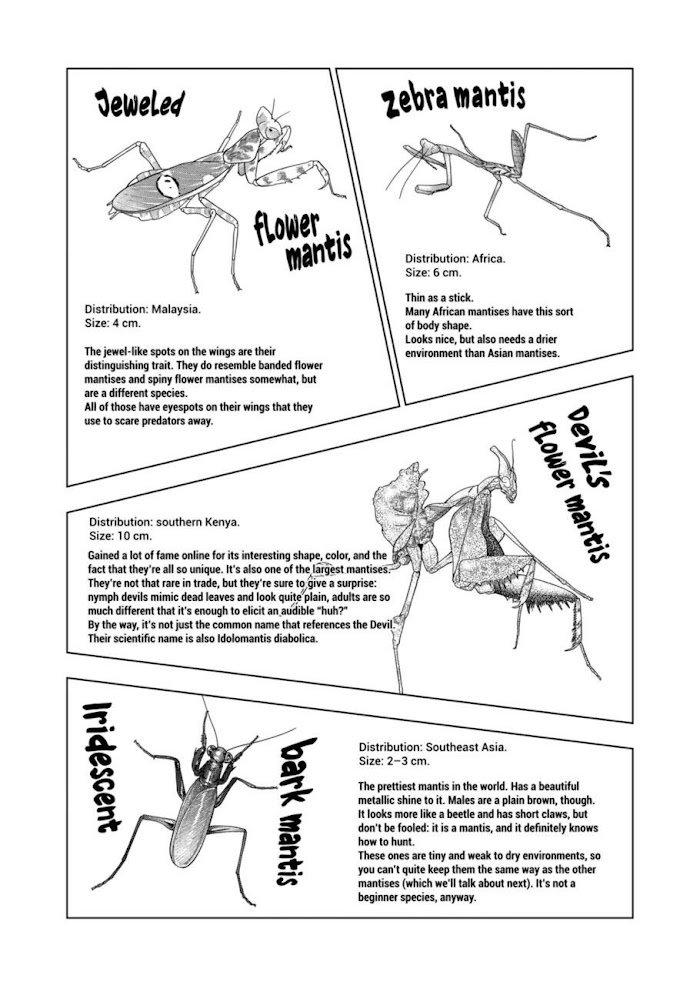 Page 12 of Chapter 107