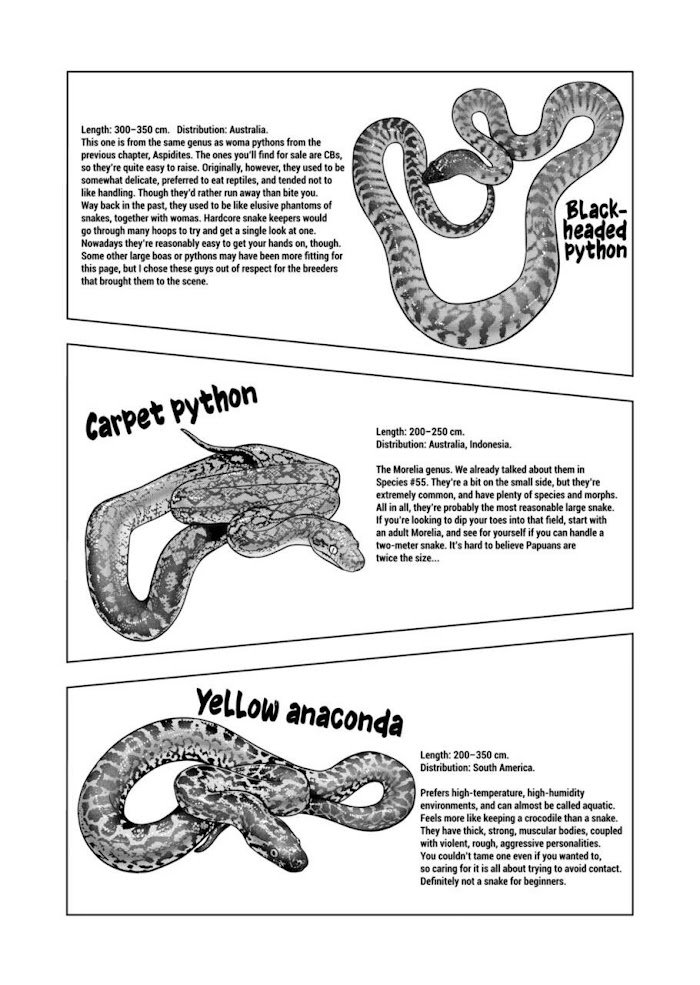 Page 17 of Chapter 113