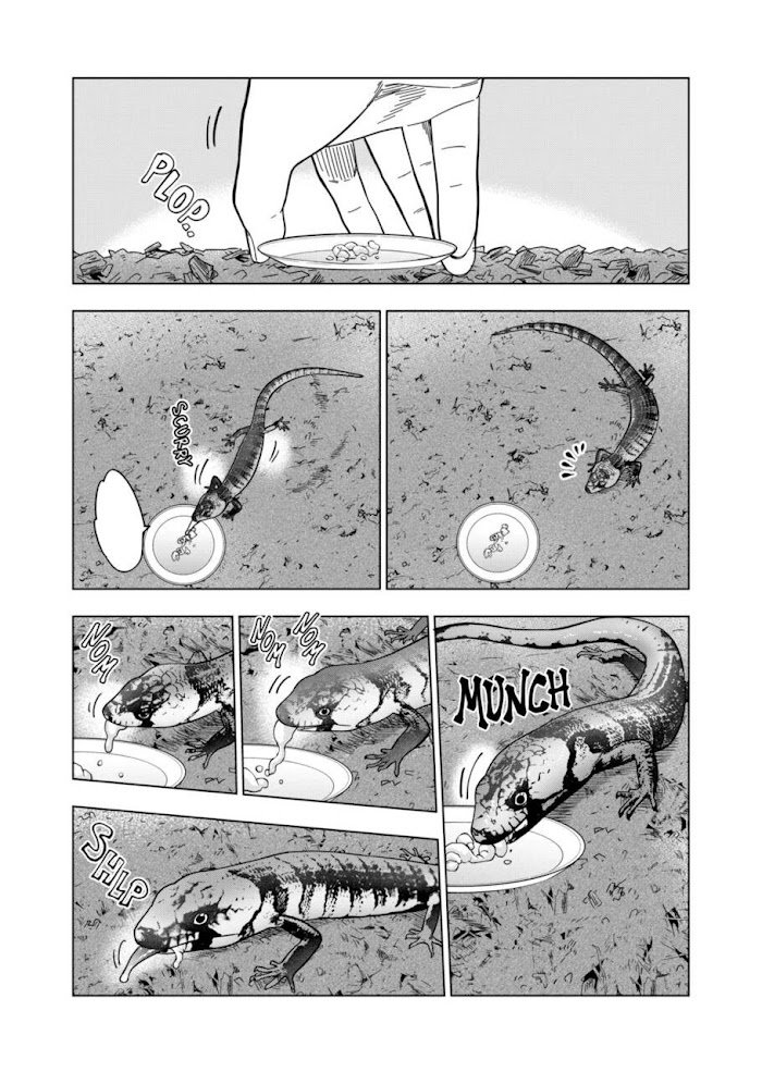 Page 13 of Chapter 114