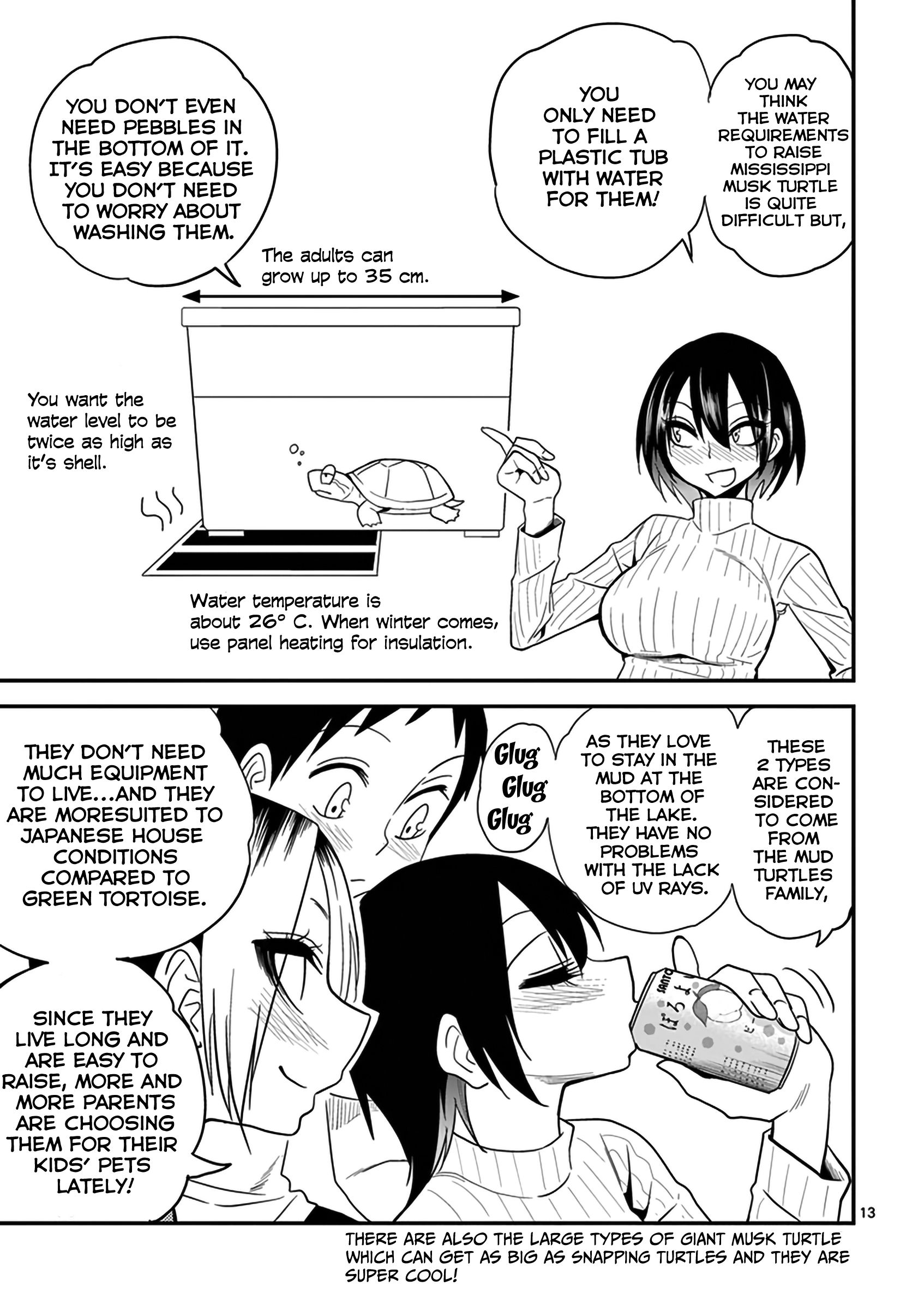 Page 13 of Chapter 12