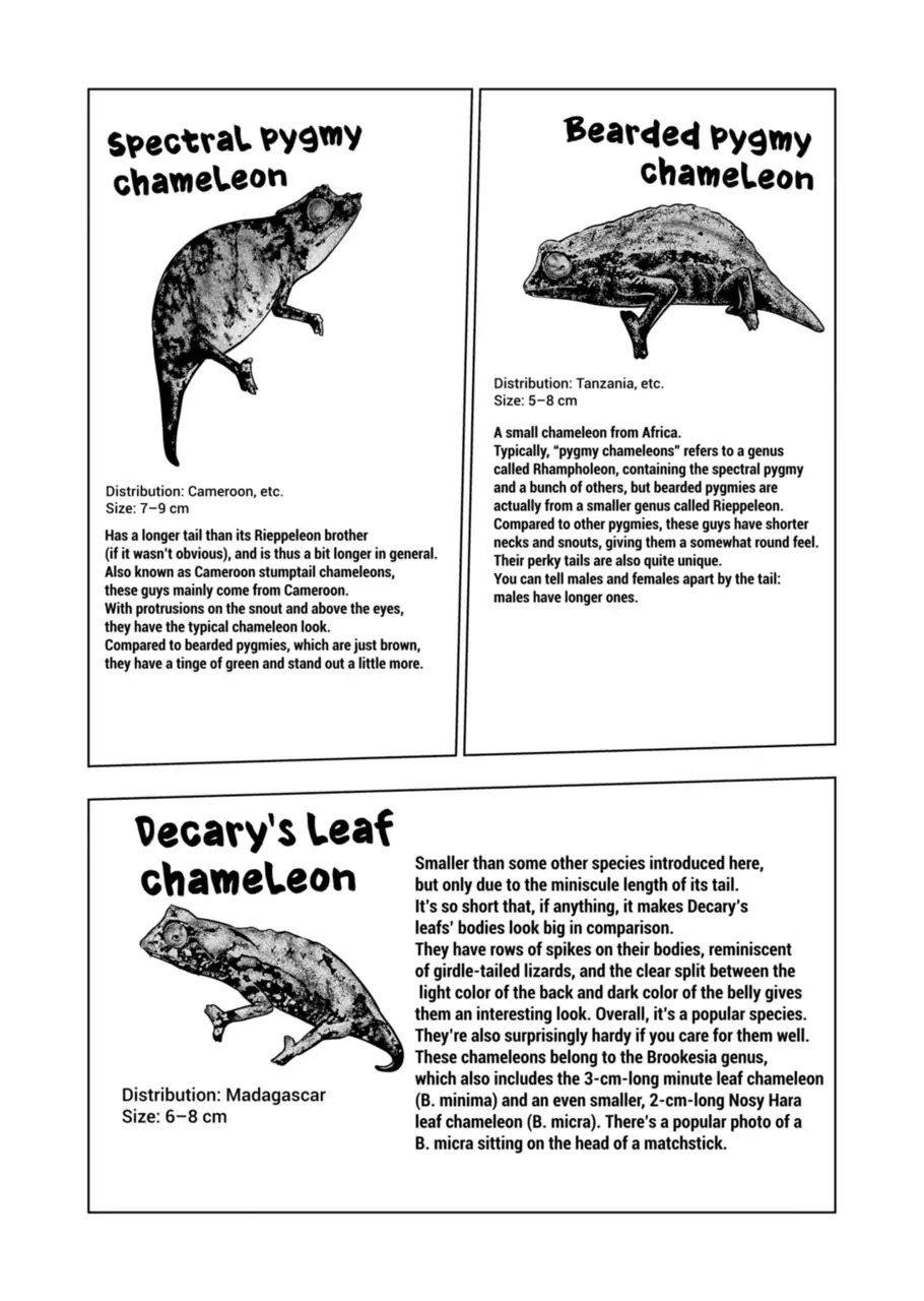 Page 7 of Chapter 123