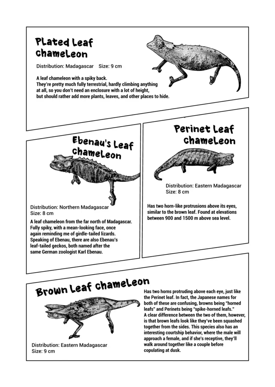 Page 8 of Chapter 123
