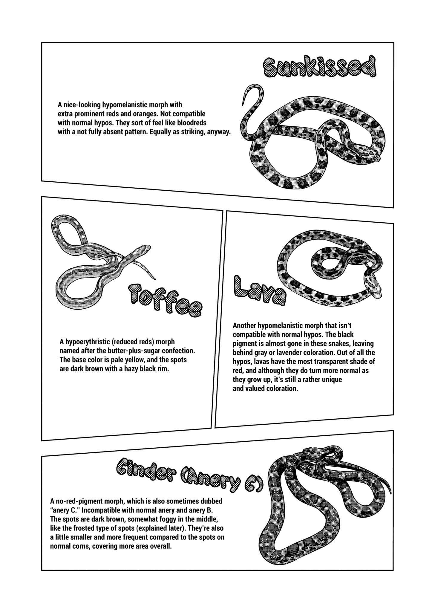 Page 12 of Chapter 125