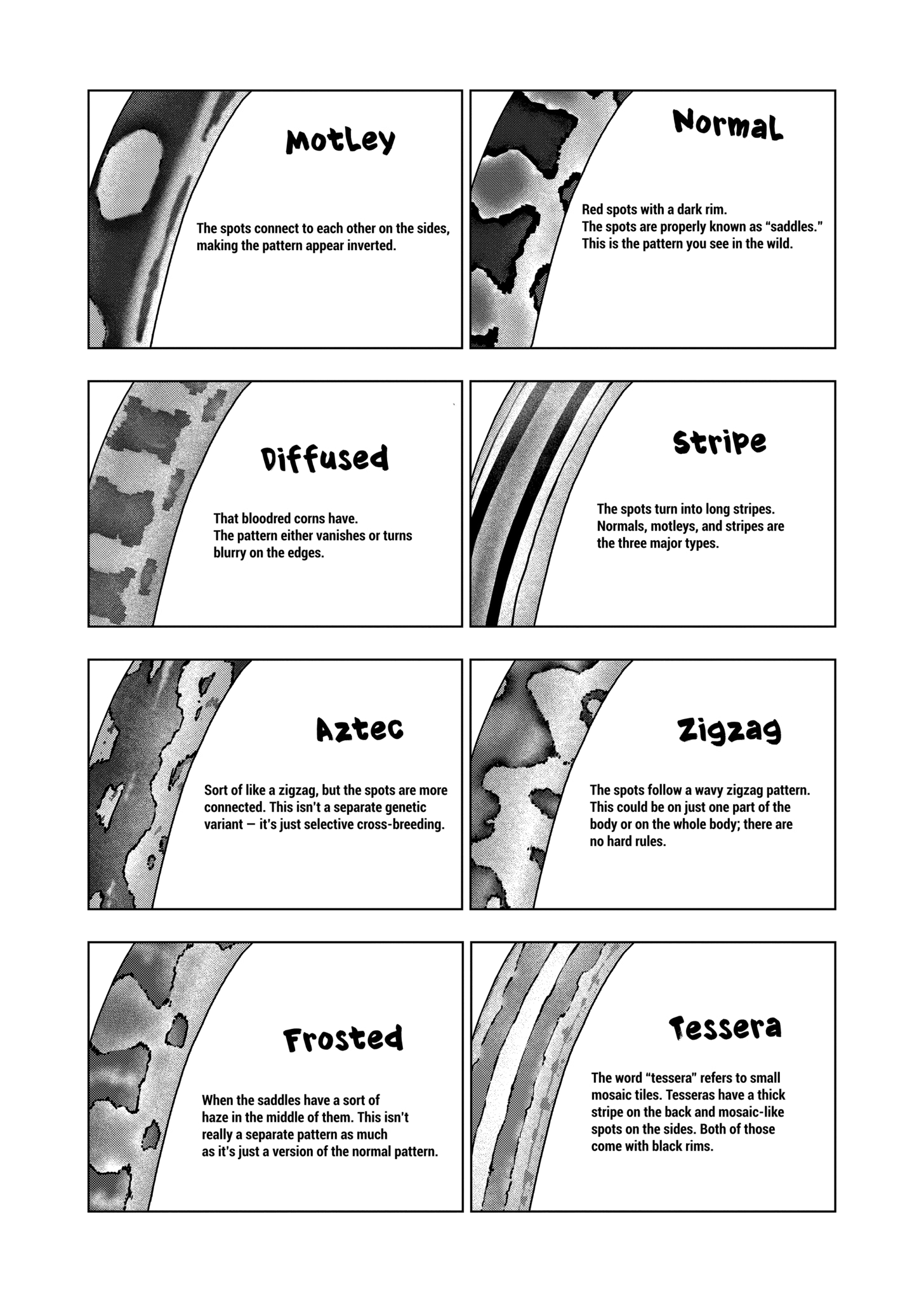 Page 15 of Chapter 125