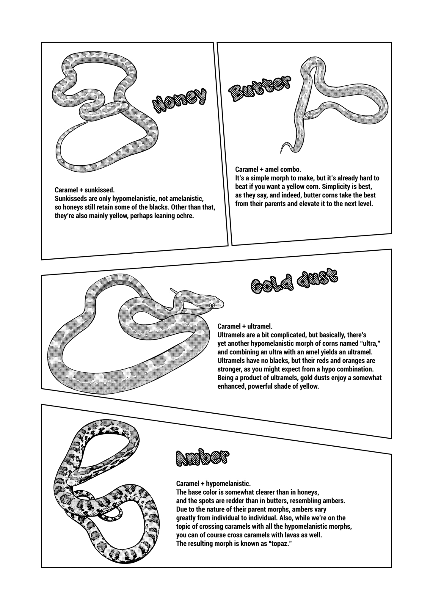 Page 20 of Chapter 125