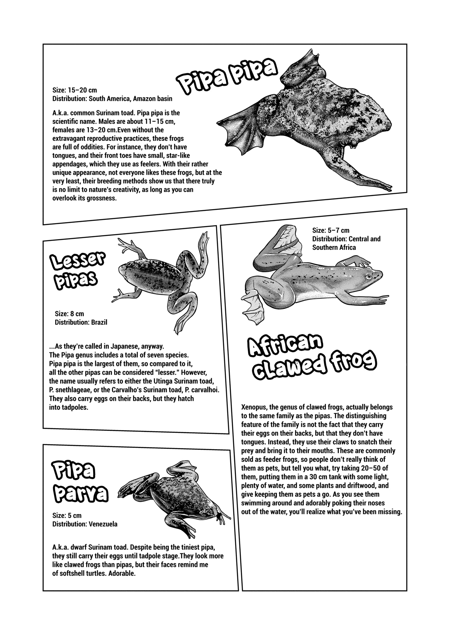 Page 17 of Chapter 126