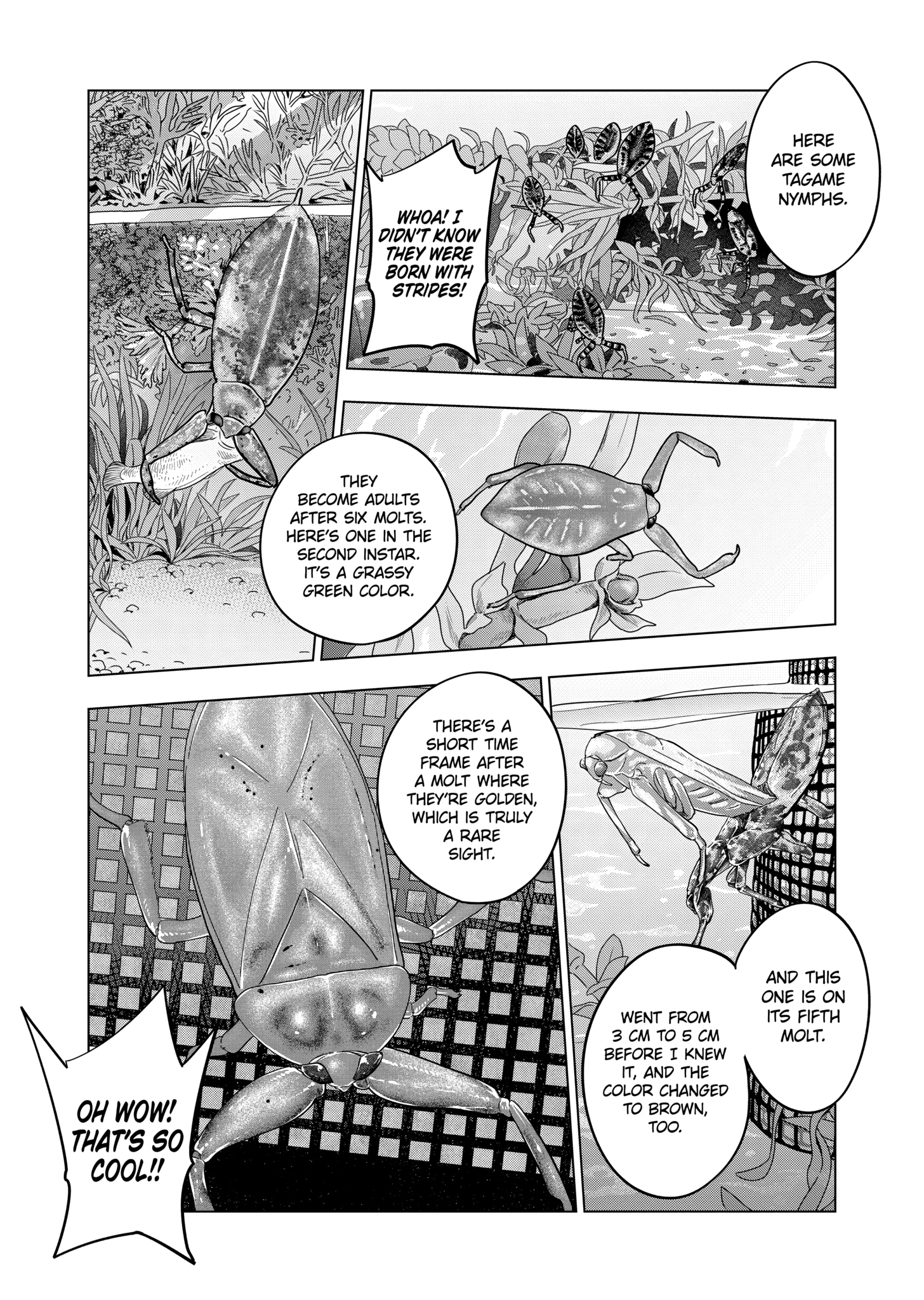 Page 6 of Chapter 127