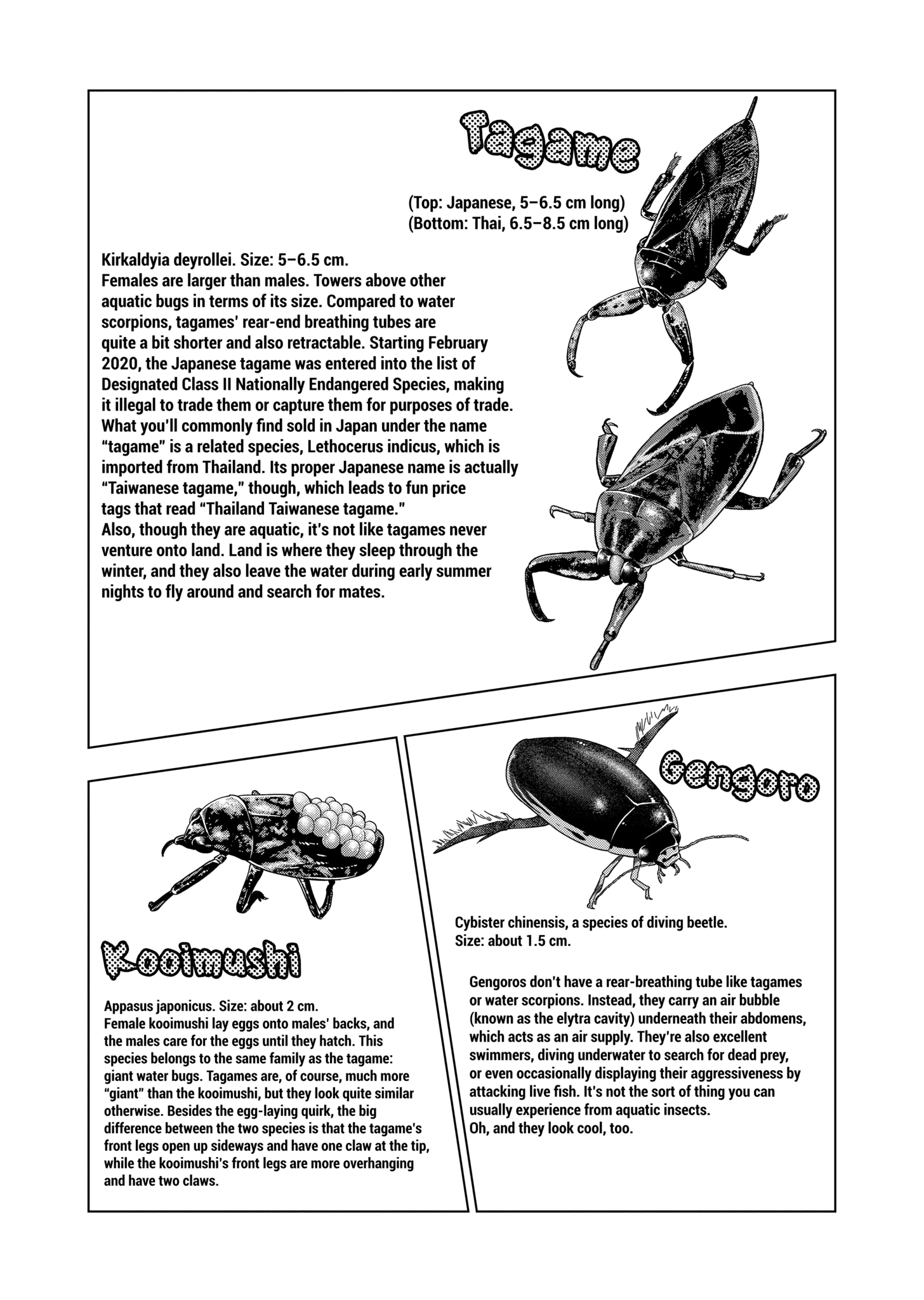 Page 10 of Chapter 127