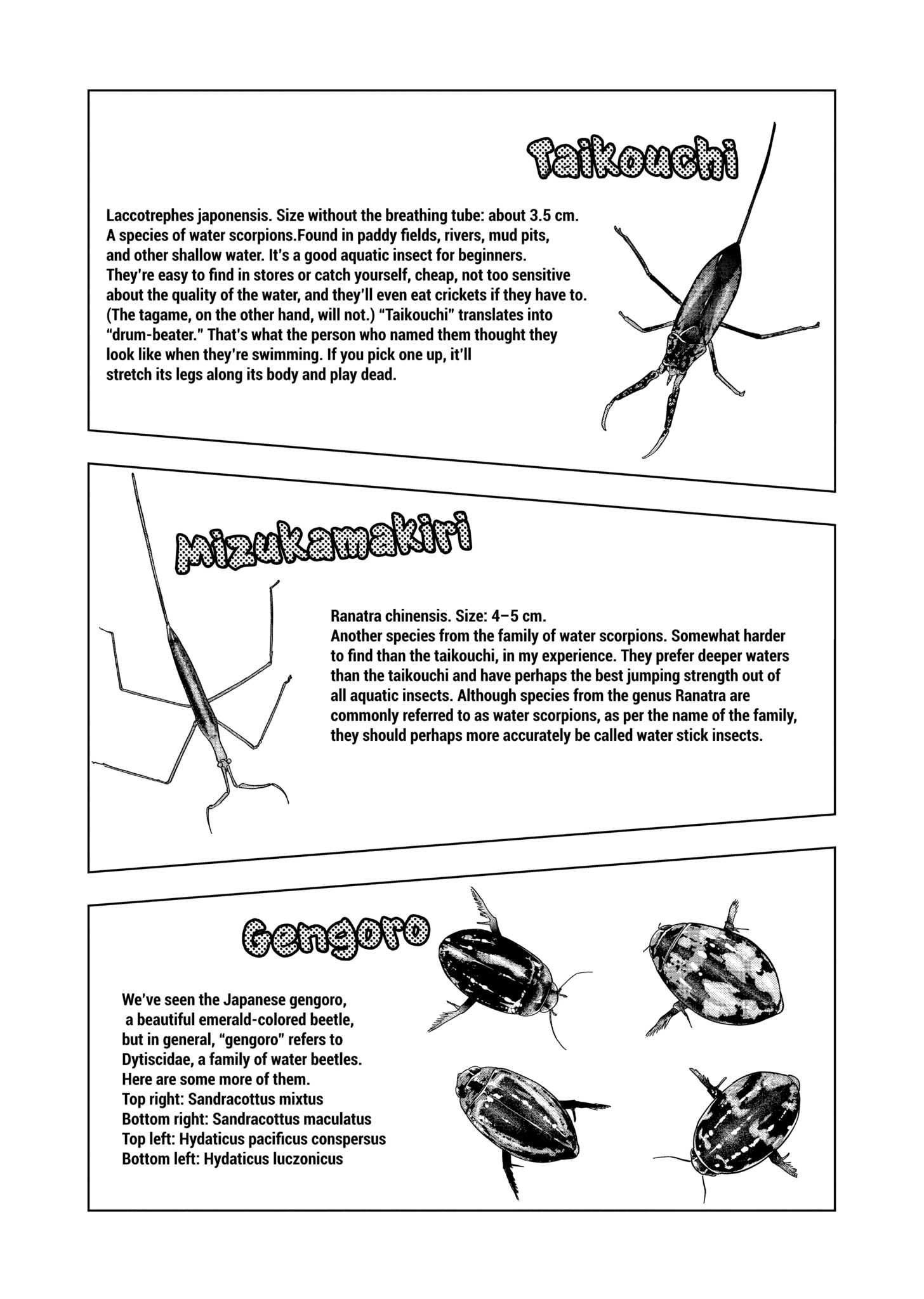 Page 11 of Chapter 127