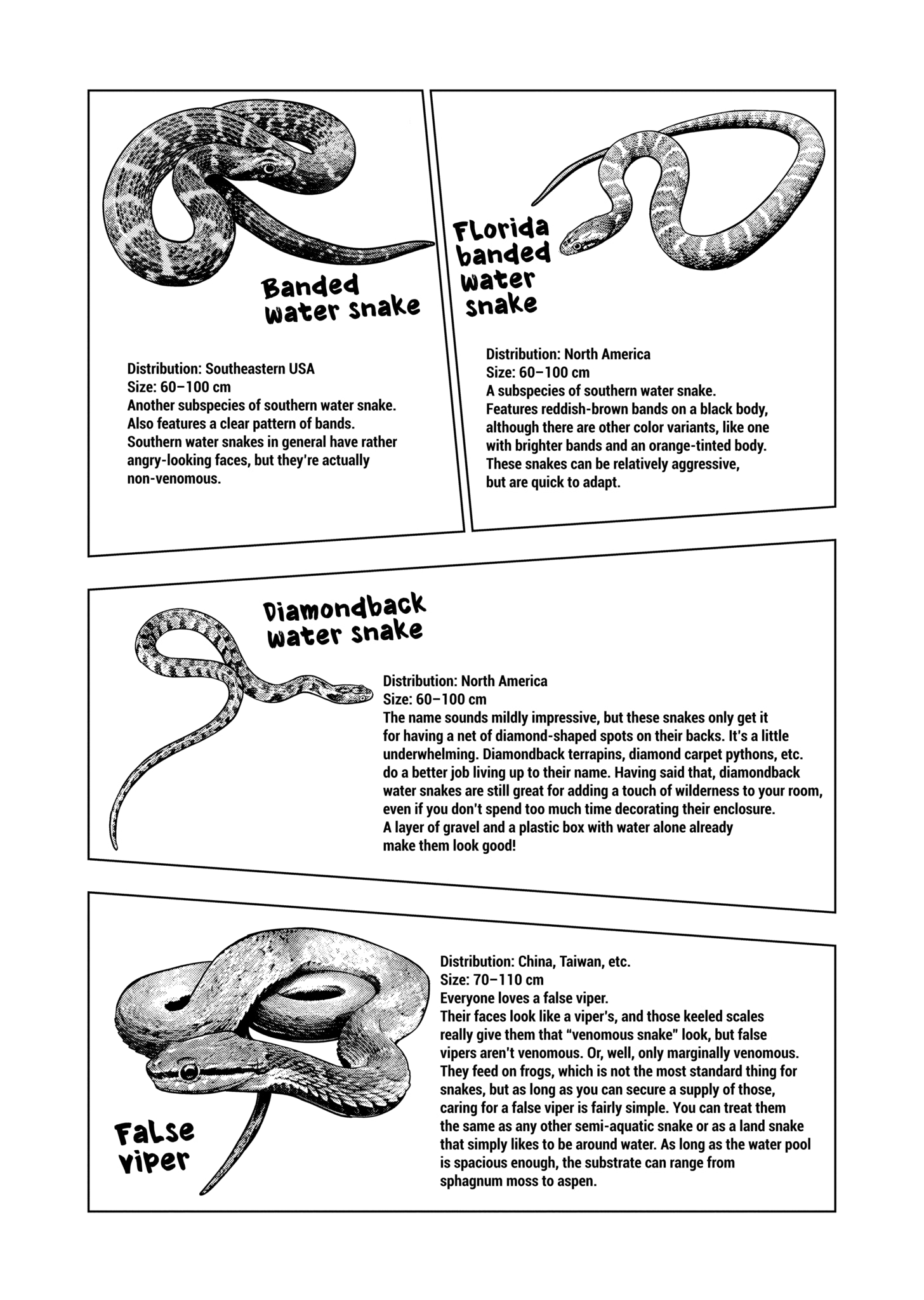 Page 12 of Chapter 129