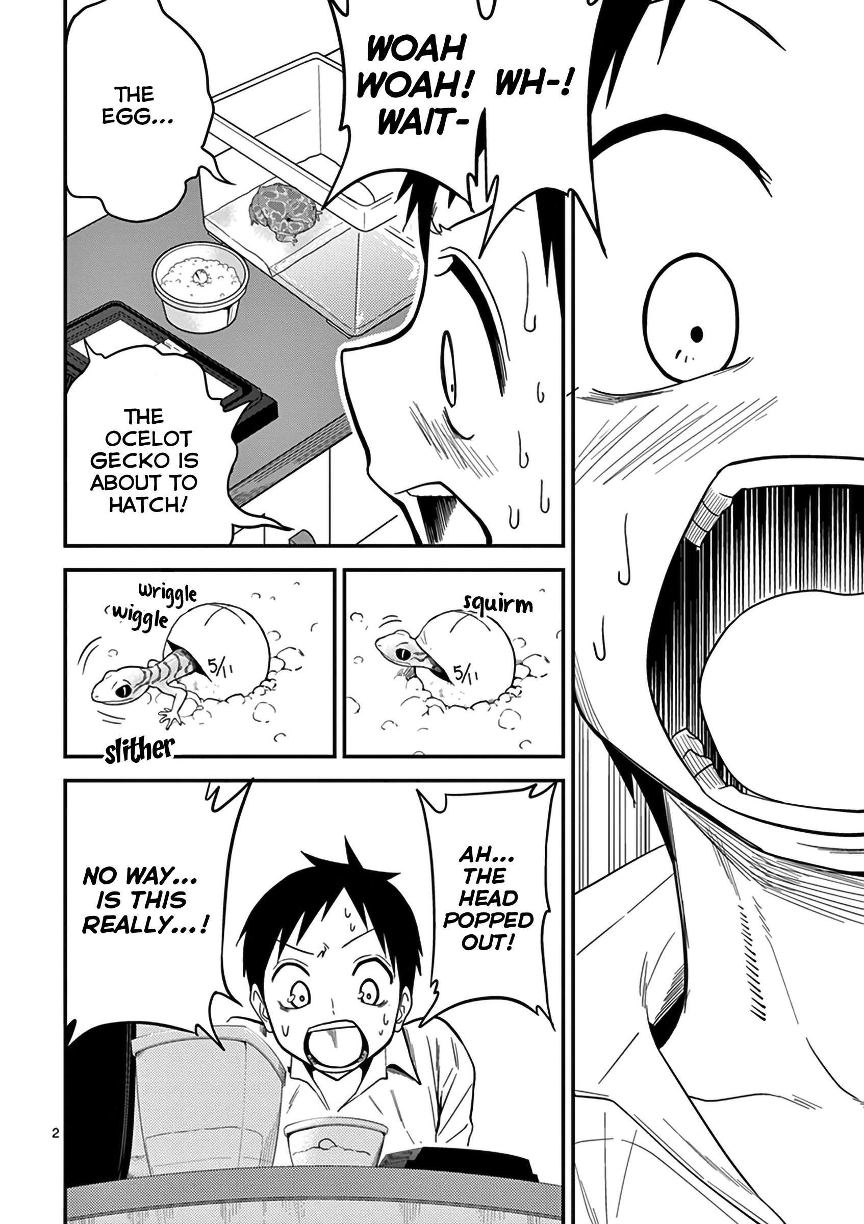 Page 3 of Chapter 13