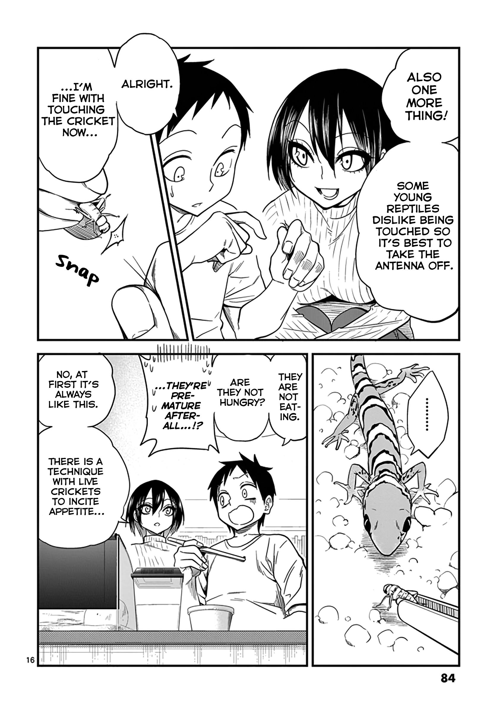 Page 17 of Chapter 13