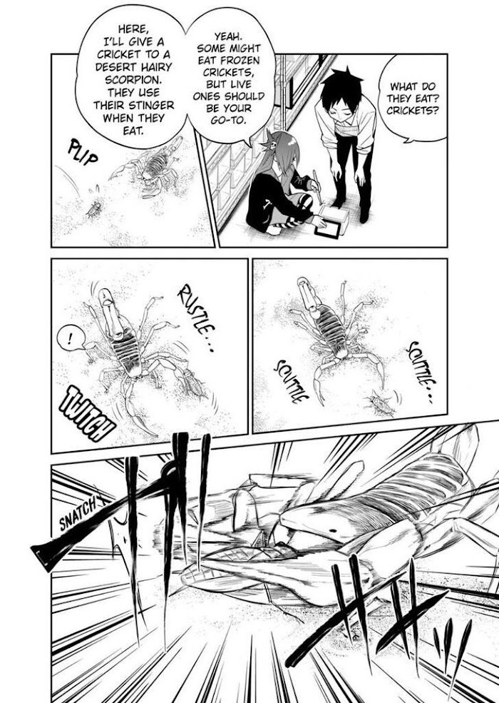 Page 8 of Chapter 17