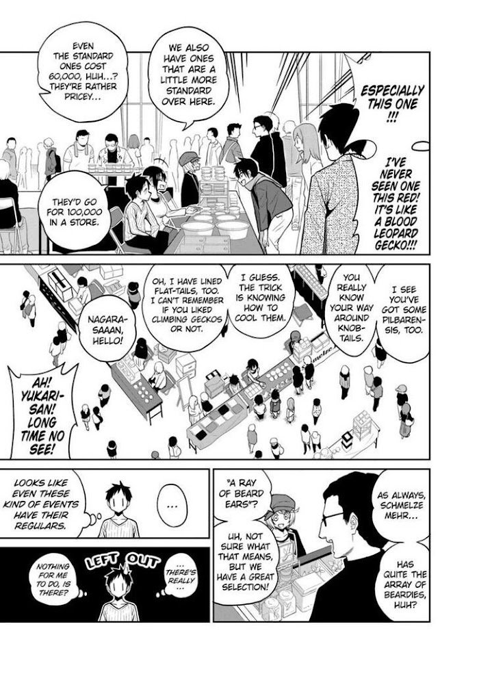 Page 13 of Chapter 19