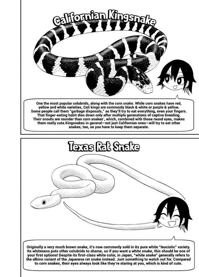 Page 14 of Chapter 23