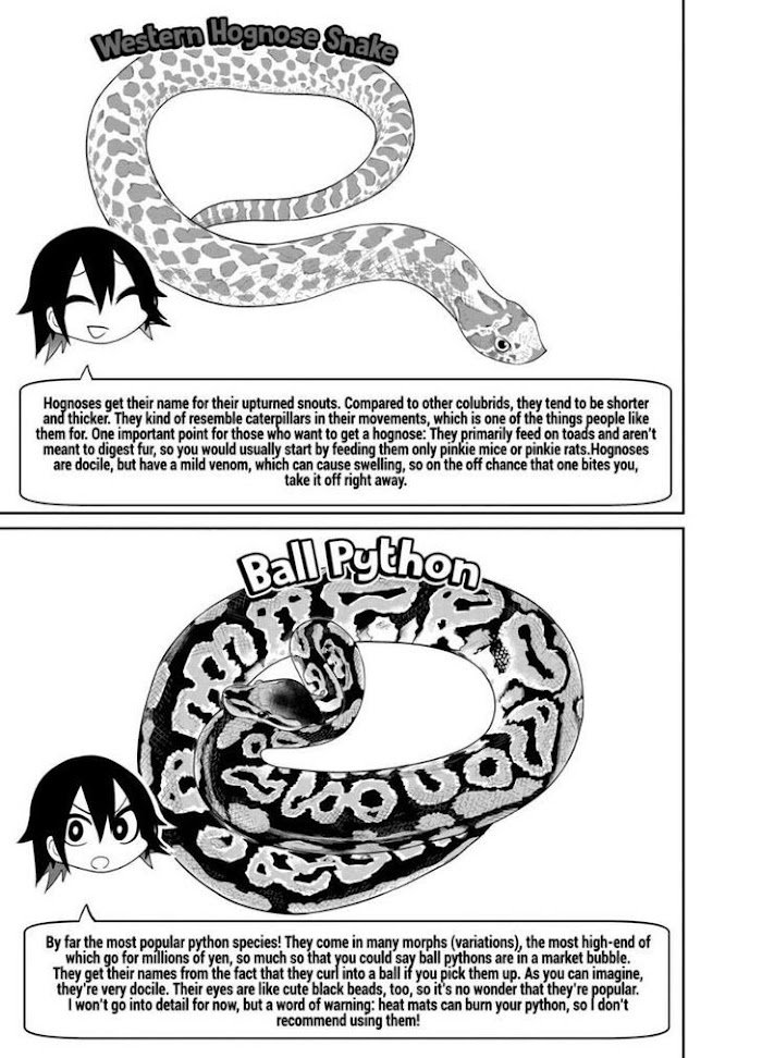 Page 15 of Chapter 23