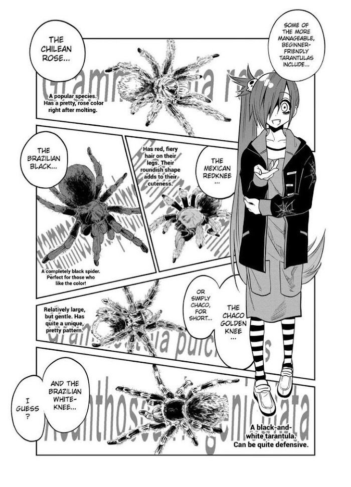 Page 13 of Chapter 25