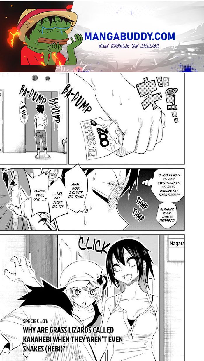 Page 1 of Chapter 31