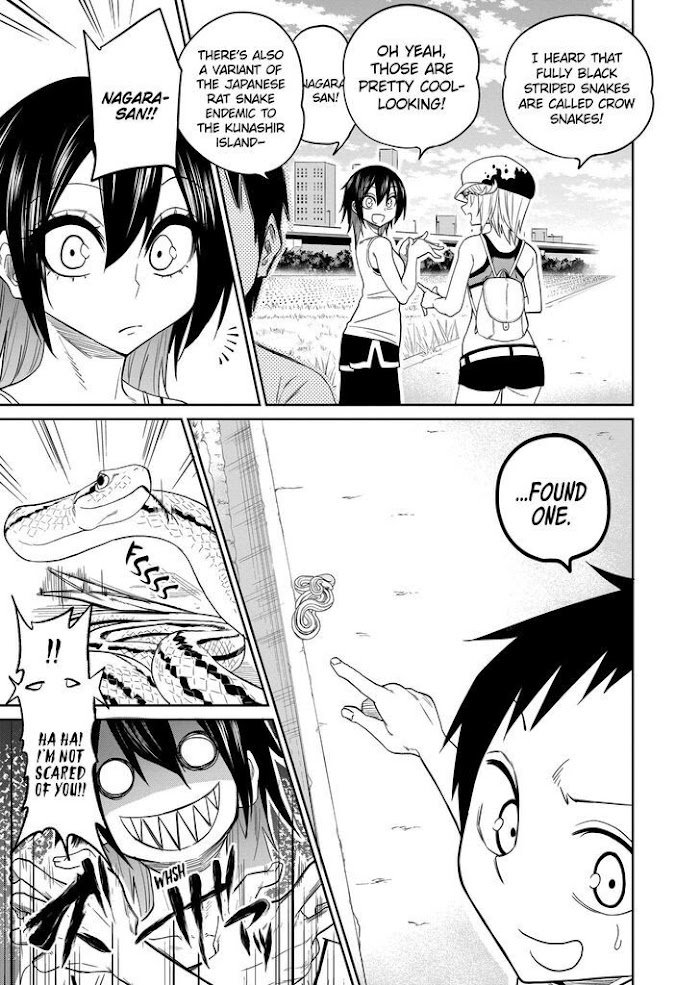 Page 17 of Chapter 31