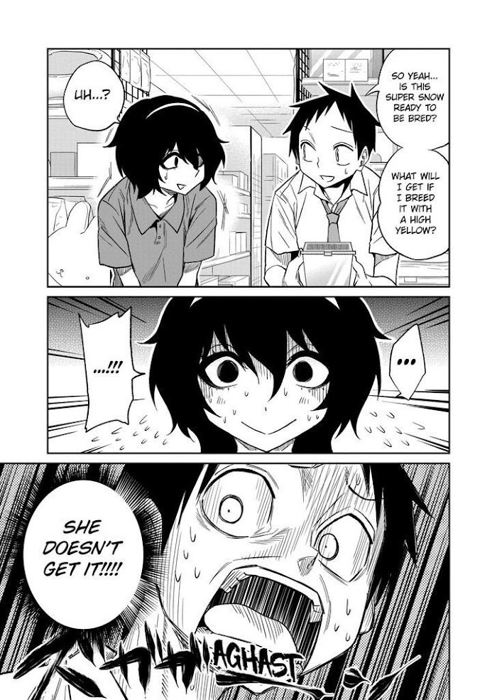 Page 11 of Chapter 33