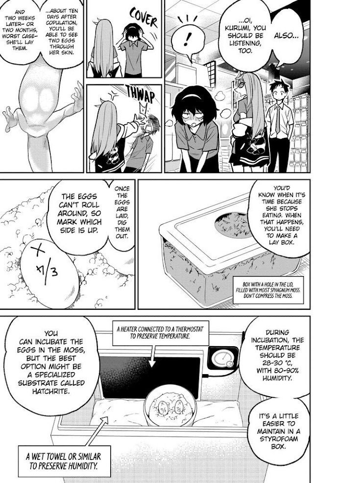 Page 17 of Chapter 33