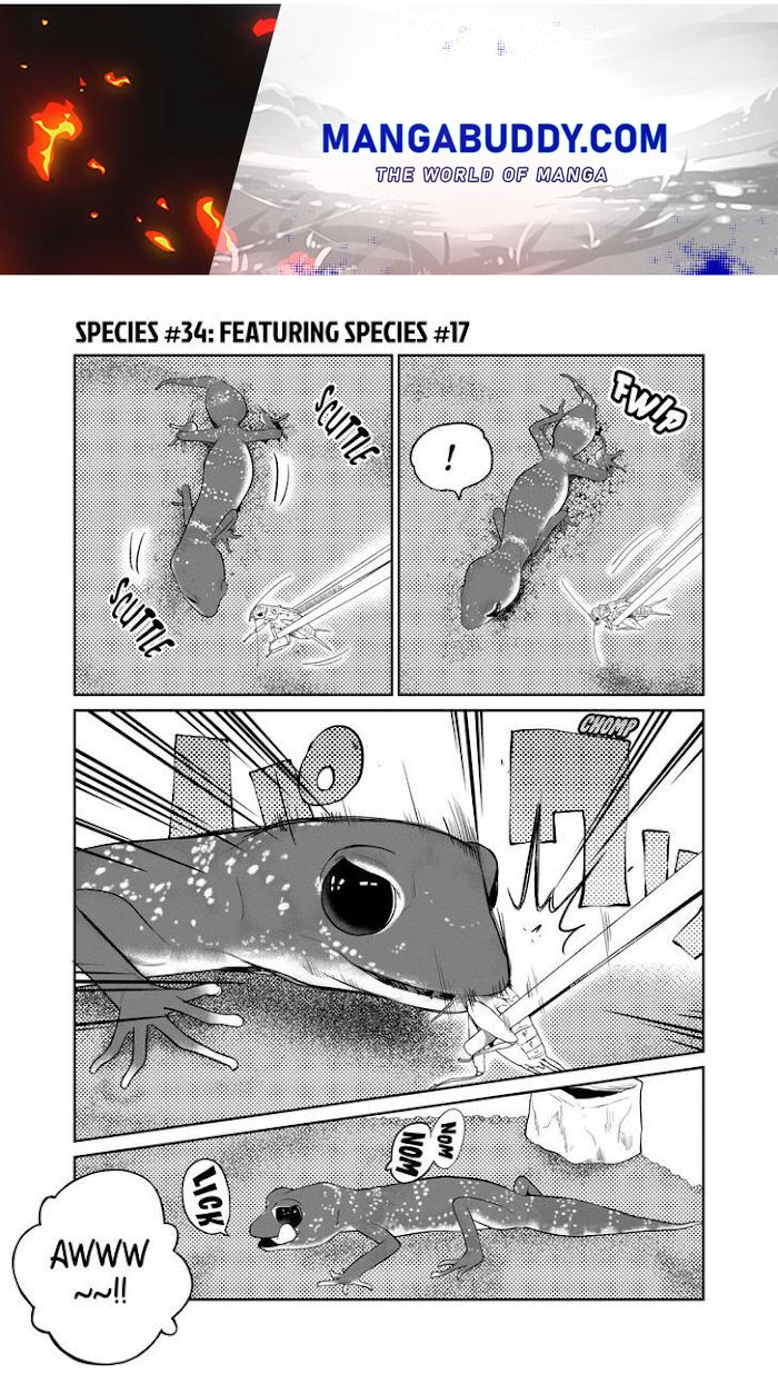 Page 1 of Chapter 34