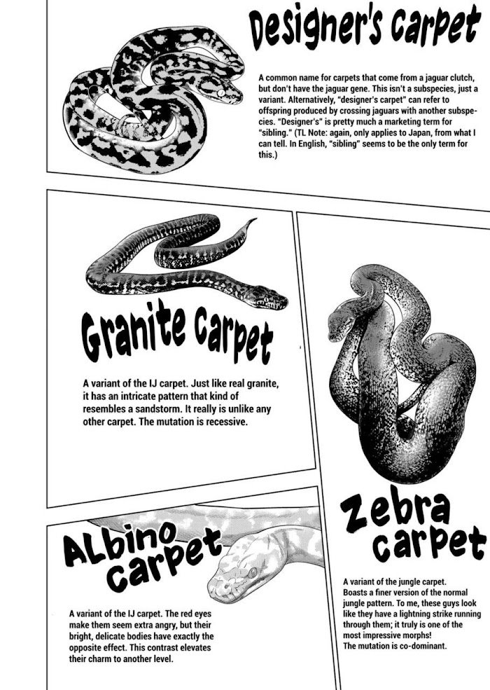 Page 8 of Chapter 55