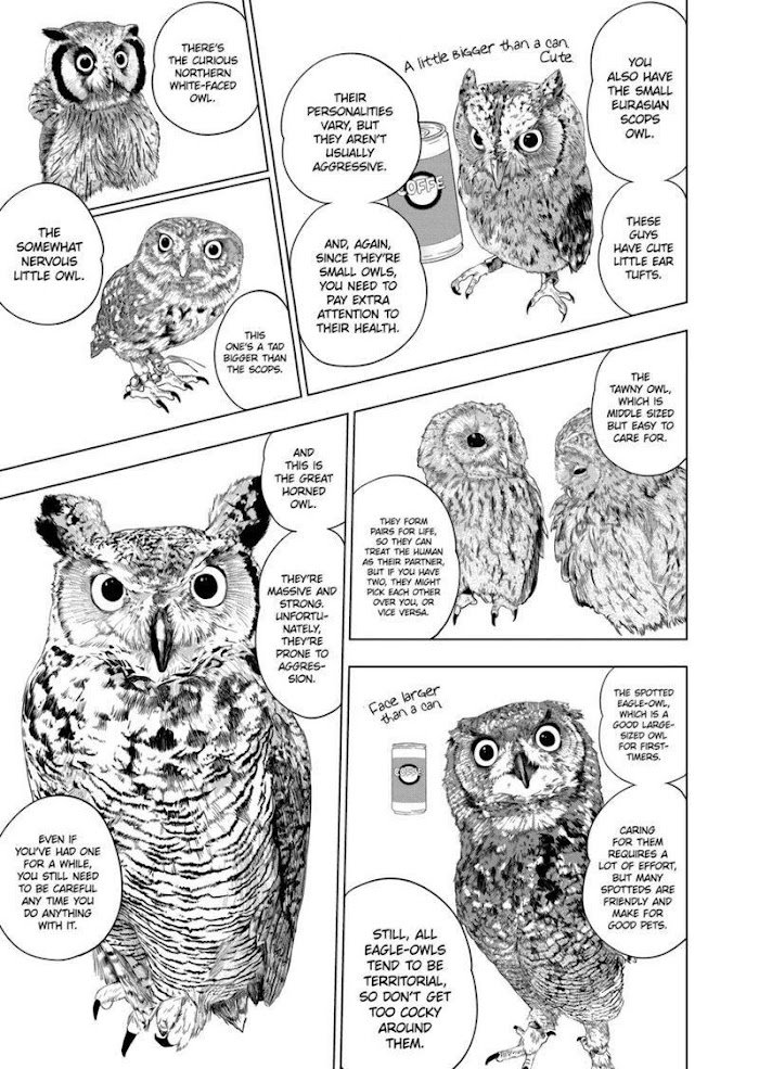 Page 8 of Chapter 69
