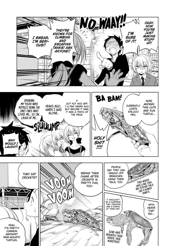 Page 13 of Chapter 73