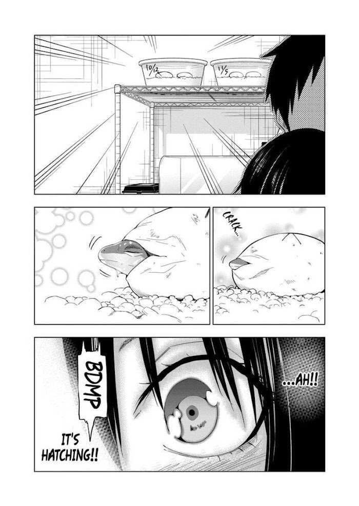 Page 11 of Chapter 75
