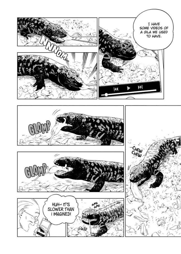 Page 4 of Chapter 80