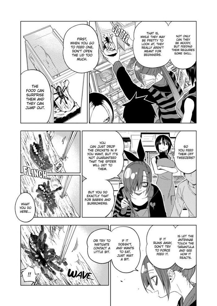Page 13 of Chapter 82