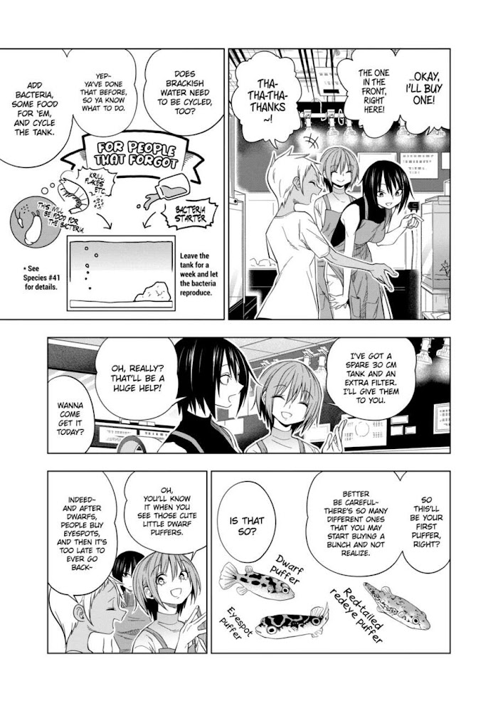 Page 13 of Chapter 84